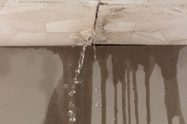 Professional Water Damage Repair technician working in Port Huron, MI